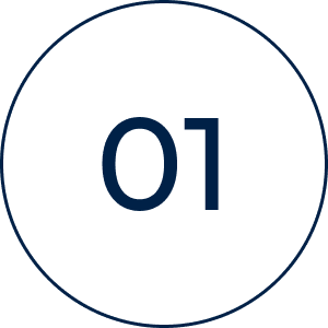 Blue outlined circle featuring number 01
